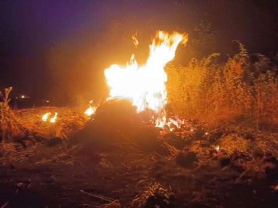 Bursa’da otluk alanda çıkan yangın ormana sıçradı: 20 dönüm zarar gördü