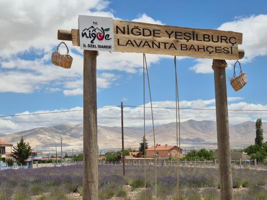 Lavanta bahçesiyle köy, turizm merkezi haline geldi
