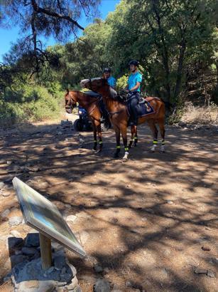 Yasağa rağmen ormana giren 5 kişiye 14 bin 765 lira ceza