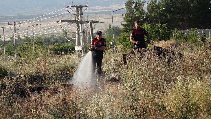 5 dönümlük otluk alan yandı