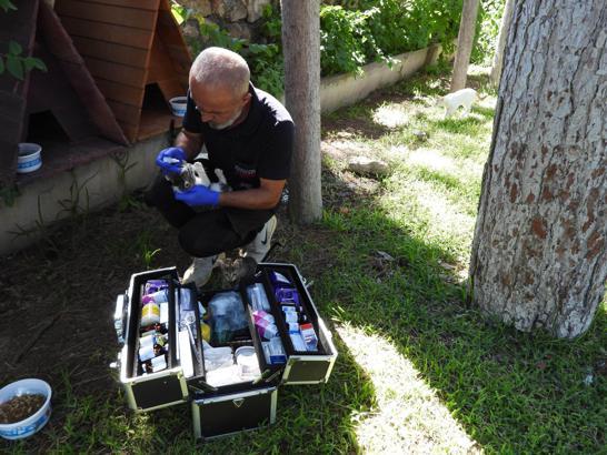 Kepez’in can dostları emin ellerde