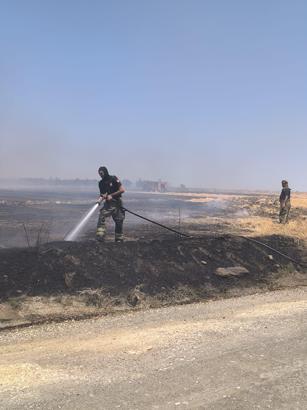 İstanbul- Silivri'de arazide çıkan yangın söndürüldü