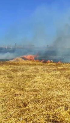 İstanbul - Arnavutköy’de tarlada çıkan yangına, vatandaşlar hortumla müdahale etti