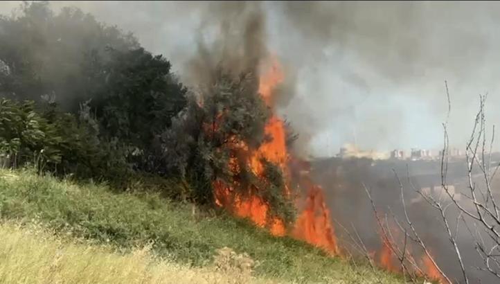 İstanbul - Büyükçekmece'de otluk alanda çıkan yangın söndürüldü