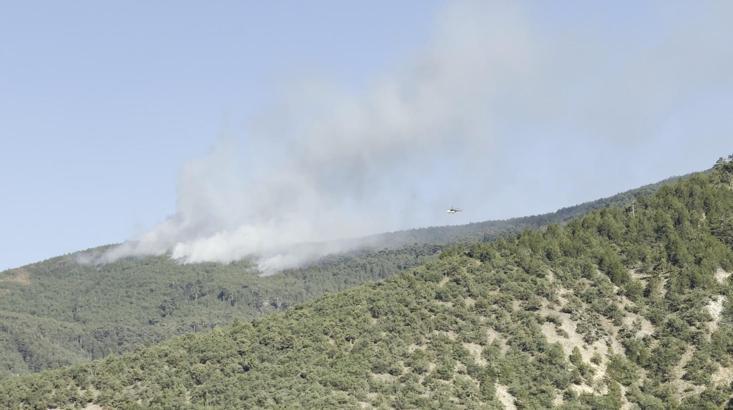 Çankırı'da orman yangını