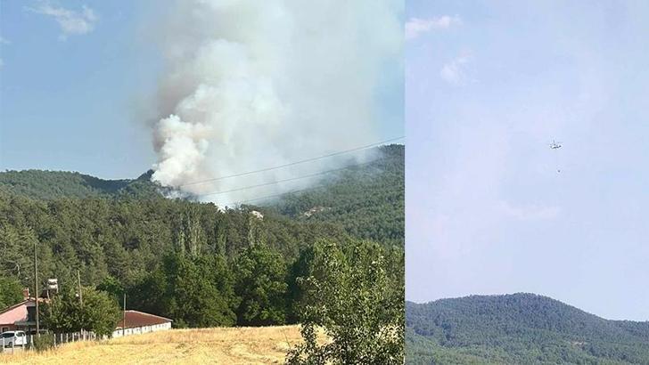 Bolu'da orman yangını