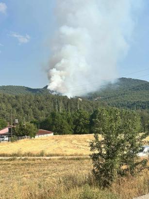Bolu'da orman yangını