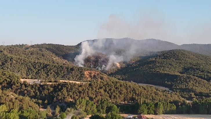 Bolu'da orman yangını (2)