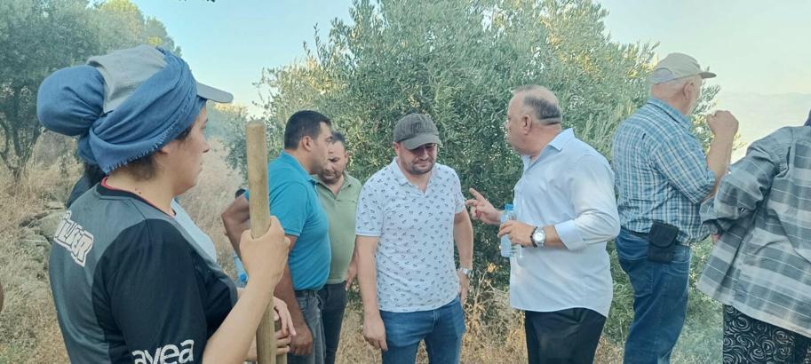 Aydın'da orman yangını