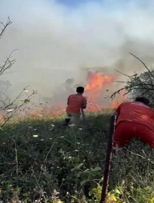 Sakarya’da ağaçlık alanda yangın