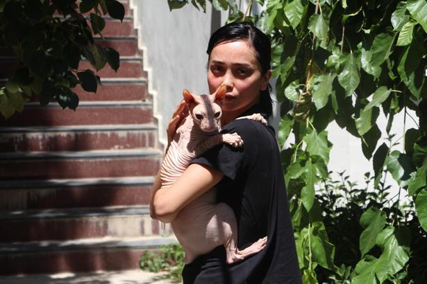 Kaybolan kedisi ‘Odin’i bulana 2 bin dolar ödül verdi