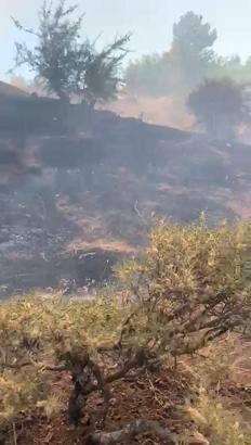 Elazığ’da örtü yangını, söndürüldü