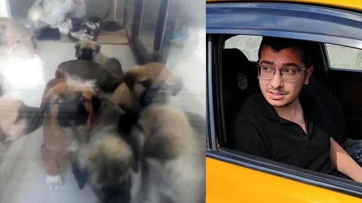 Doktorun, sahiplendiği köpekleri öldürmekten yargılandığı davada bilirkişi kararı