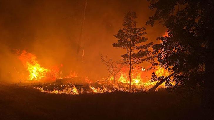 Almanya'nın üç eyaletinde orman yangını