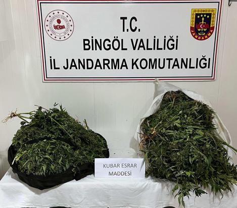 Bingöl’de 17 kilo esrar ele geçirildi; 4 gözaltı