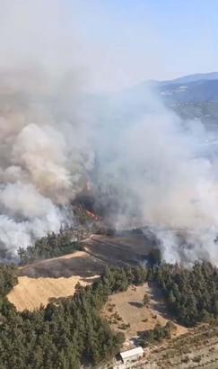 Balıkesir'de tarım arazisinde çıkan yangın ormana sıçradı