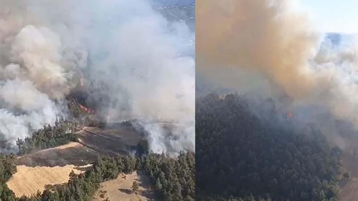 Balıkesir'de tarım arazisinde çıkan yangın ormana sıçradı