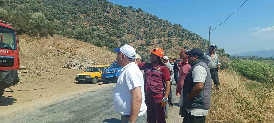 Aydın'da makilik ve zeytinlik alanda yangın çıktı