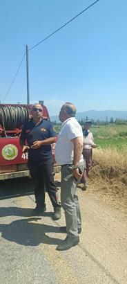 Aydın'da makilik ve zeytinlik alanda yangın çıktı (2)