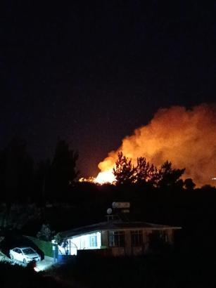 Hatay'da makilik yangını kısa sürede söndürüldü
