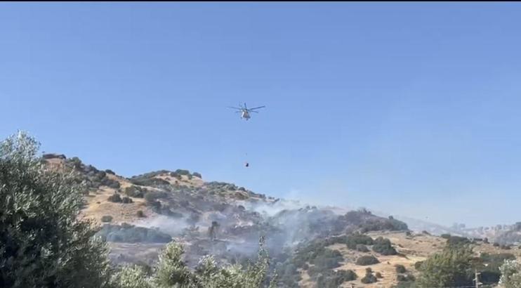 Aydın’da makilik ve zeytinlik alanda yangın (3)