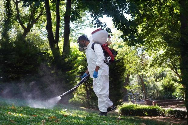 Şişli’de kene ve sineklere karşı etkin mücadele