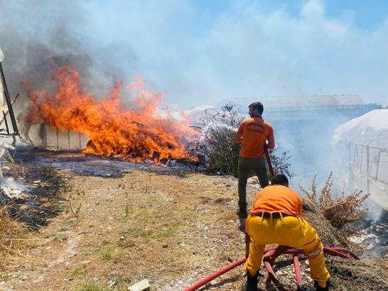 Çalılıktaki yangın seraya sıçradı