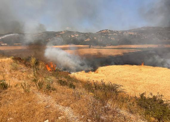 Biçerdöver kaynaklı yangında 2,5 dekar ekili buğday yandı