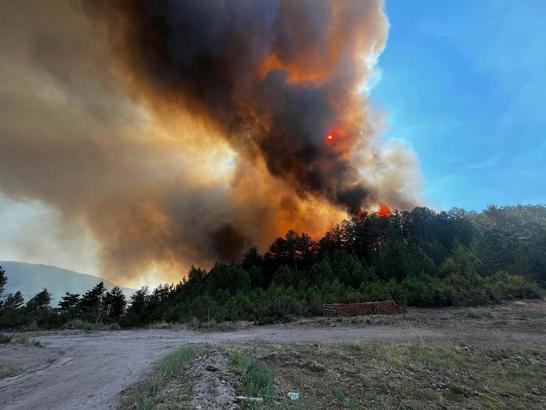 Balıkesir'de orman yangını / Ek fotoğraflar