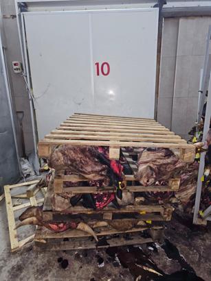 Sakatatçılara satılmak üzere istiflenmiş çürümüş büyükbaş hayvan kafaları bulundu