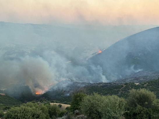 Manisa Sarıgöl’de çıkan yangın Uşak’a ulaştı; bazı evler tahliye edildi
