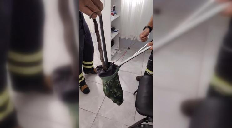 Aile sağlığı merkezinde yılan paniği