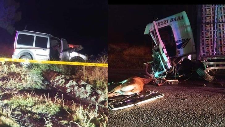 Hafif ticari araç, yola çıkan geyiğe çarptıktan sonra kamyonla çarpıştı; 1 ölü, 1 yaralı