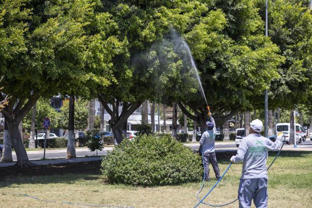 Mersin’de ilaçlama çalışmaları sürüyor