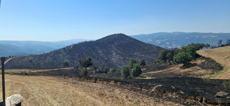 Manisa Sarıgöl’de çıkıp, Uşak’a ulaşan yangın 10,5 saatte kontrol altına alındı / Ek fotoğraflar