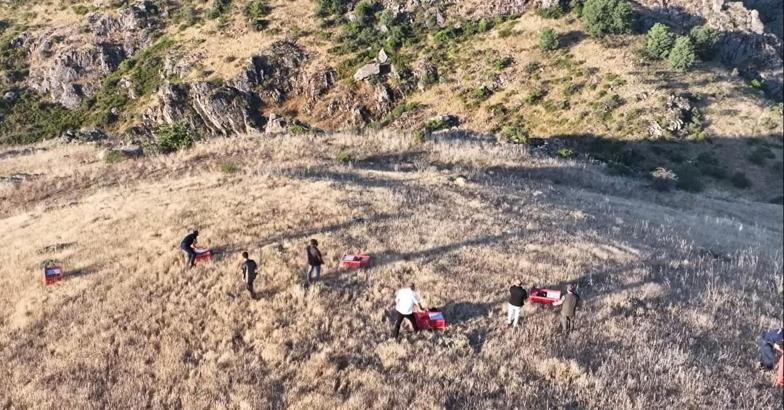 Kırşehir’de keneyle mücadele kapsamında 600 keklik doğaya salındı