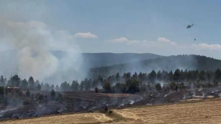 Kastamonu'da anız yangını ormana sıçradı; 10 hektar alan zarar gördü