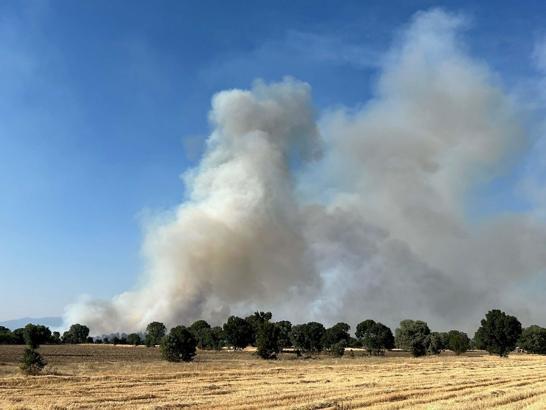 Uşak’ta tarım arazisinde çıkan yangın ormana sıçradı