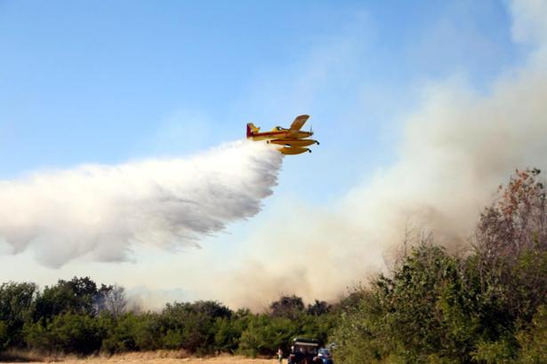 Kırklareli'de anız yangını ormana sıçradı