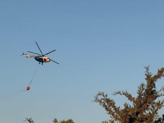 Bursa'da orman yangını