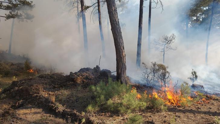 Tavşanlı’daki orman yangını kısa sürede söndürüldü