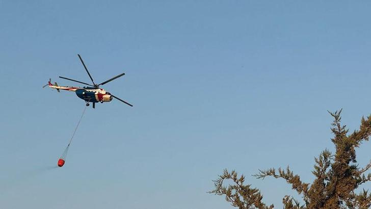 Bursa'da çıkan orman yangını kontrol altında