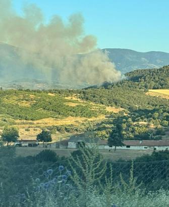 Çanakkale’de orman yangını; Kaz dağlarında kapanan köy yolları ulaşıma açıldı (2)
