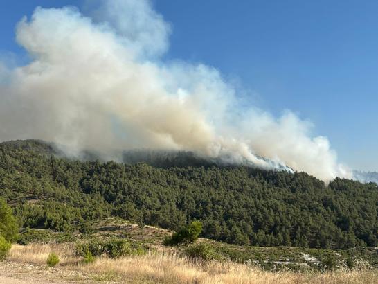 Kütahya’da orman yangını (3)