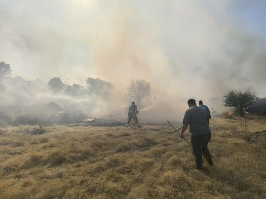 Ayvalık’ta aynı zamanda çıkan 4 yangın büyümeden söndürüldü