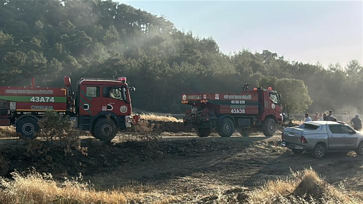 Uşak’ta tarlada çıkıp ormana sıçrayan yangın 11 saatte kontrol altına alındı