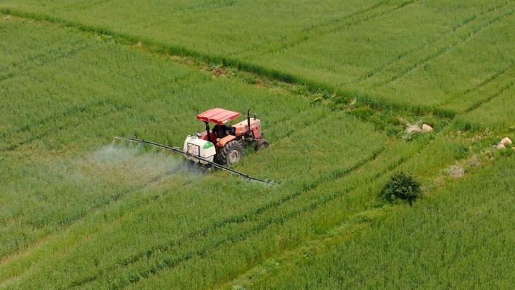Ülker ve Sabancı Üniversitesi'nden buğday için iş birliği