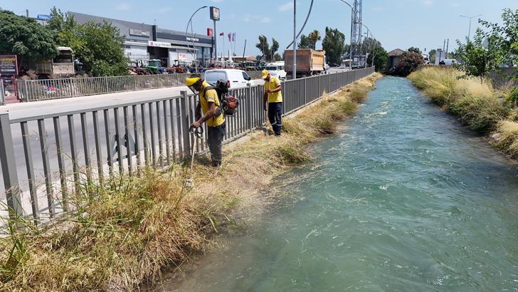 Tarsus’ta hal yolu ve ana caddelerde temizlik çalışması