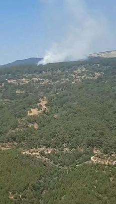 Aydın'da orman yangını