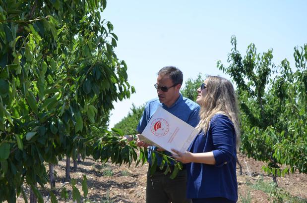 TBMM Zirai Don Olayını Araştırma Komisyonu, Eskişehir’de kiraz bahçelerini inceledi